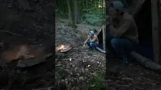 #Bushcraft#Survival#PrimitiveShelter#ForestLife#SoloCamping#NatureSkills#WildCamping#SurvivalShelter