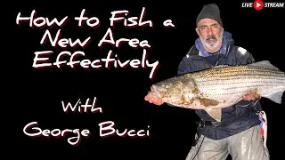 How to Fish a New Area with George Bucci