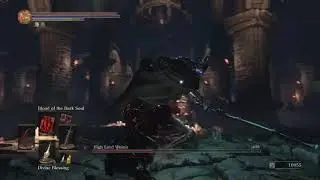 Blood Guard Vs High Lord Wolnir