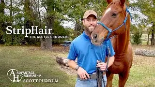 Scott Purdum - StripHair Gentle Groomer
