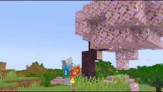 The Minecraft Singleplayer Experience