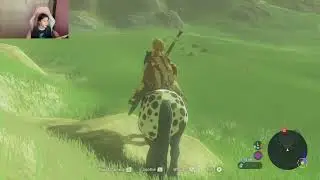 WiiU Legend of Zelda - Making a Fire - Spirit Orbs - Stables - Breath of the Wild Gameplay