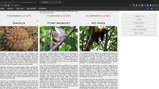 CSS Grid Large Desktop Mockup