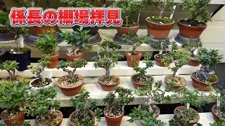 係長のお宅訪問シリーズ