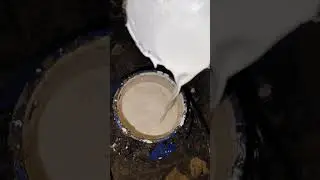 Collecting rubber liquid #shortvideo #rubbertree #satisfying #nature #viralvideo #shorts #rubber ✨