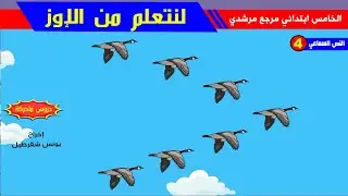 النص السماعي 4 : لنتعلم من الإوز - مرشدي في اللغة العربية المستوى الخامس