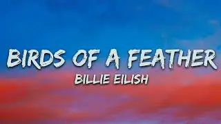 BILLIE EILISH - BIRDS OF A FEATHER | Emotional Vibes ✨ (SLOWED)