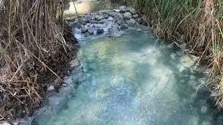 Baños Romanos curativos La Hedionda