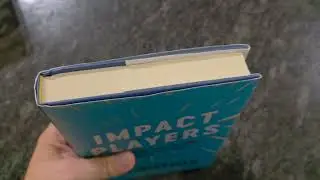 MY THOUGHTS On The Impact Players Book