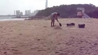 Man attempts to remove sand... from the beach.