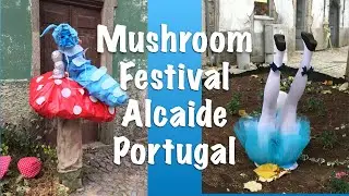PORTUGAL: MUSHROOM FESTIVAL at ALCAIDE