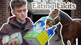 Eating LIKIT HORSE TREATS with my horse