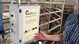 Automatic foot bathing by Efficient Farm Systems