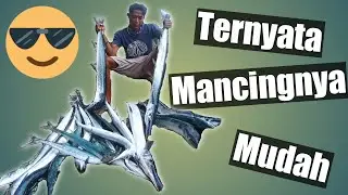 mancing ikan cendro besar full strike!!!