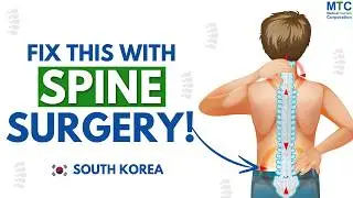 Spine Surgery in South Korea: ALL You Need to Know!