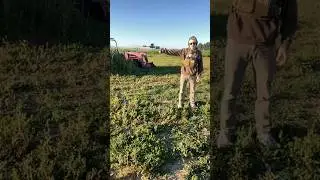 Shooting My Most Expensive Ammo #gun #tactical #civtac