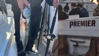 Short Trip, Big Bonito! | San Diego 1/2 Day On the Premier 