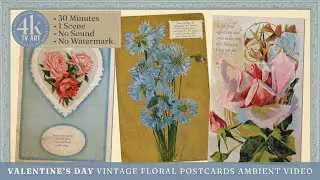 Valentine's Day Antique TV Art - Vintage Flower Blue Postcards | Framed Ambient Video Screensaver