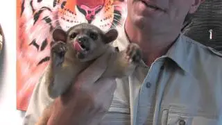 Bucks County Zoo - Best Animal Education Center - Pennsylvania 2010