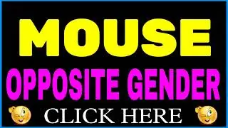 Mouse ka opposite gender | Mouse ka opposite word | opposite gender of Mouse