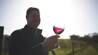 Spier - ABSA Pinotage 2020