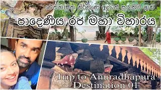 ඉපැරණි කැටයම්, පිළිම, සිතුවම් රැසක් පිරුනු පාදෙණිය පුරාණ රජ මහා විහාරය🙏🏻|Padeniya Raja Maha Viharaya