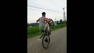 kale vai vlog