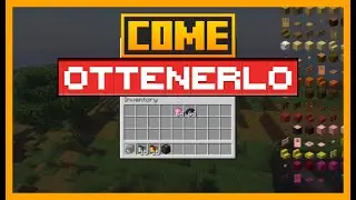 COME AGGIUNGERE ALLEGATI E FILTRI in Exposure per MINECRAFT
