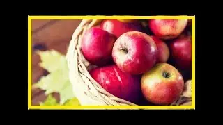 Apfel-Allergen kann Apfelallergie heilen