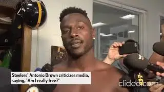 D.I.V.A.: The Agonizing Saga Of Antonio Brown (By UrinatingTree)