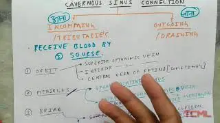 Cavernous Sinus | Part 3 | Communication | Incomming and Outgoing Channel | TCML