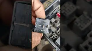 Sumo gold starting problem