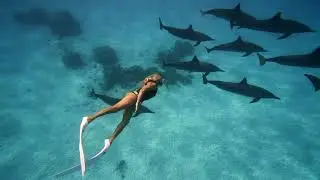 Dolphin Dance in Mauritius' Crystal Waters - An M-WAVE Adventure