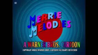 MERRIE MELODIES CUSTOM INTRO