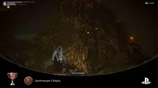 Demon's Souls Leechmonger Victory