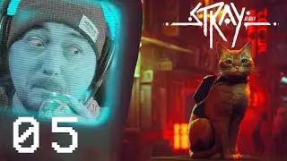 Energy Drinks!  - Ep#5 - Stray Blind Playthrough