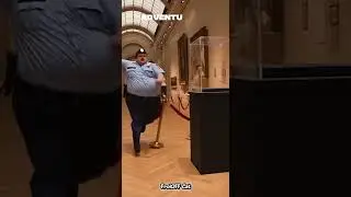 A new version of the Louvre robbery in France by FrolOFF cat  #funny #cat #funny_cats #cute #louvre