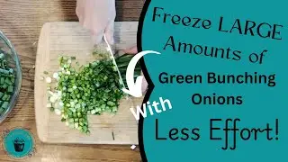 How to Freeze Bunching Onions Easy Way/How to Freeze Green Onions with less Effort!