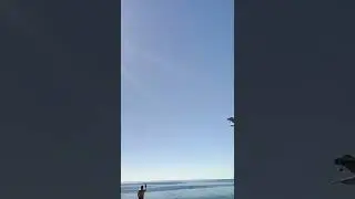 #flight #plane #landing #georgia #batumi #accidentnews #accident #planeaccident