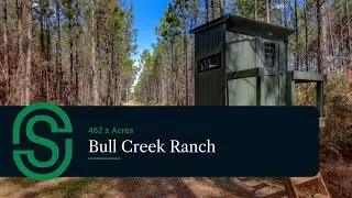 Premier 462-acre Hunting & Timber Tract &bull; For Sale in Claxton, Georgia &bull; Bull Creek Ranch