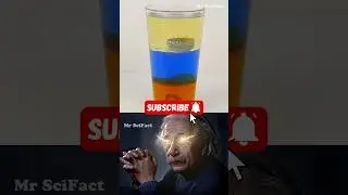 Layered Liquids and Floating Objects 🌈💧 | #sigmaphysics | Mr SciFact | #shorts