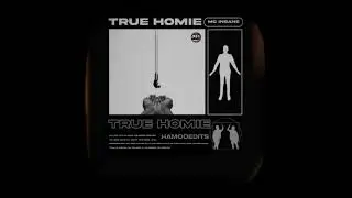MC Insane - True Homie Slowed and Reverb (Lyrical Video) | SFS Mixtape 2022 #mcinsane #emogang #dhh