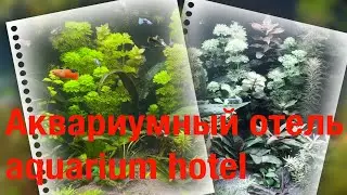 Аквариумный отель / aquarium hotel