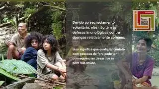 Povos ind&iacute;genas em isolamento volunt&aacute;rio: Direito &agrave; autodetermina&ccedil;&atilde;o