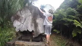 Waitawheta Tramp