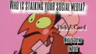 Who is Spying on You?/Who is Stalking Your Social Media? Pick A Card
