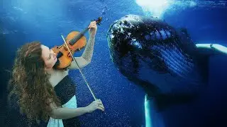 Ambient Violin Music For Meditation - Soundscape #14 - Concerto for Violin and Whales - 20 min