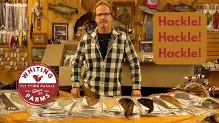 Brand New Unique Hackle from Whiting Farms (Updated Daily)