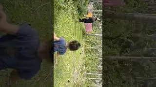 Nanguha ng Pako  nagvedio vloger joryb kulit 