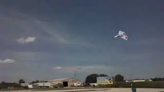 Delta PAK FA Sortie XX